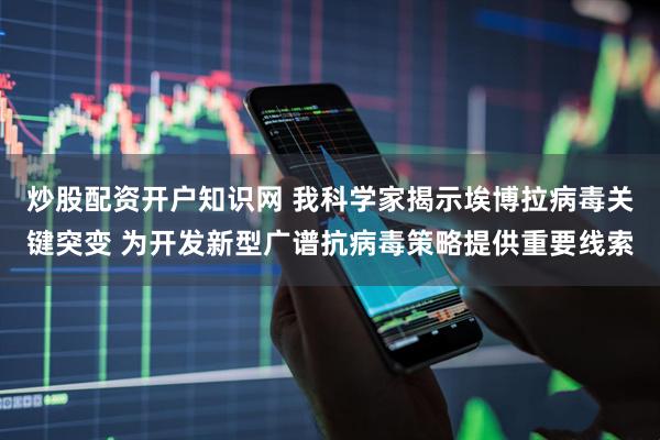 炒股配资开户知识网 我科学家揭示埃博拉病毒关键突变 为开发新型广谱抗病毒策略提供重要线索