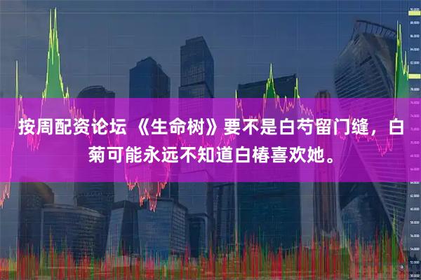 按周配资论坛 《生命树》要不是白芍留门缝，白菊可能永远不知道白椿喜欢她。