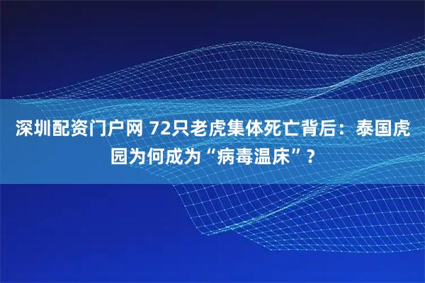 深圳配资门户网 72只老虎集体死亡背后：泰国虎园为何成为“病毒温床”？