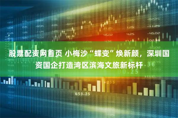 股票配资网首页 小梅沙“蝶变”焕新颜，深圳国资国企打造湾区滨海文旅新标杆