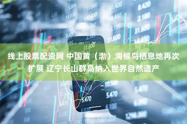 线上股票配资网 中国黄（渤）海候鸟栖息地再次扩展 辽宁长山群岛纳入世界自然遗产